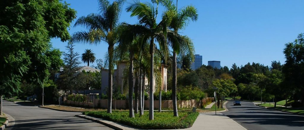the corner of an intersection in LA, showing pam trees
